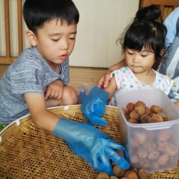 👍梅干し完成★