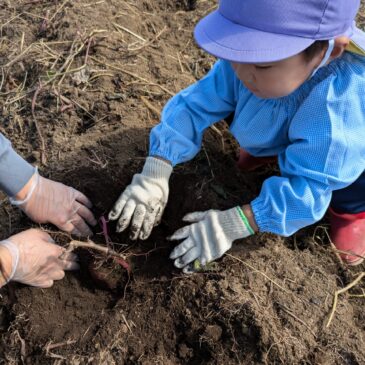 🍠おいも🍠とったぞー😁✨✨