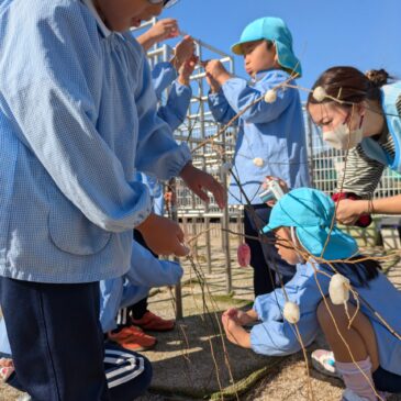 😆おもちぺったんぺったんたん💪