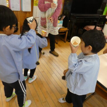 😯松ぼっくり、入るかな❓