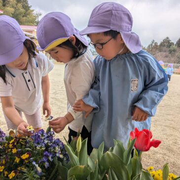 🌸お花大好き！