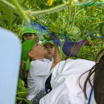 🍉すいかトンネル