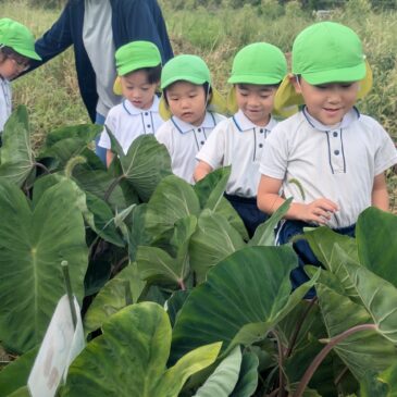 🚶‍➡️おさんぽ！