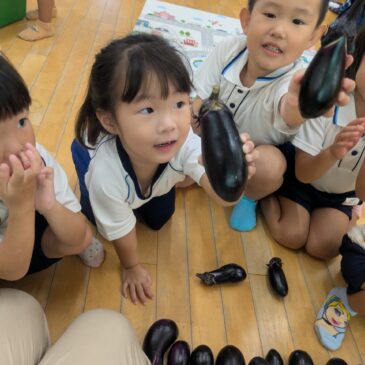 🍆ナスのせいくらべ🍆