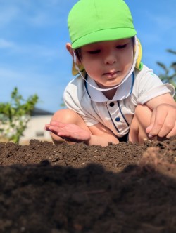 🌱ダイコンの種をまきました！