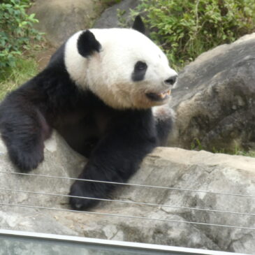 🚍バスにのって～親子遠足🐘