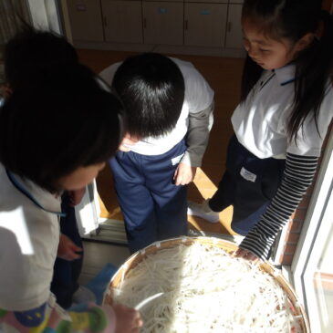 切り干し大根作り🥬