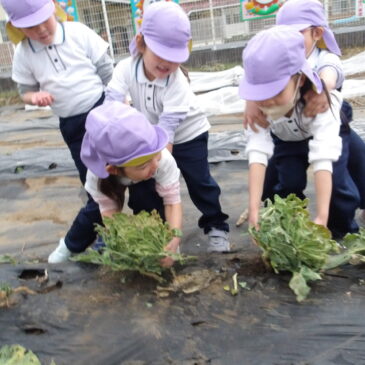 今日の給食は・・？😋
