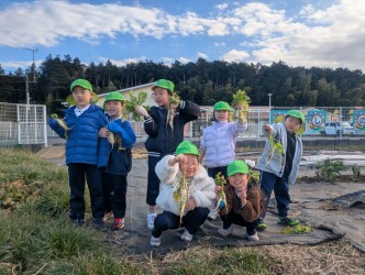 😁ダイコンとったぞっ！