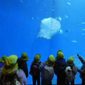 🐟お楽しみ保育～第２弾出発！