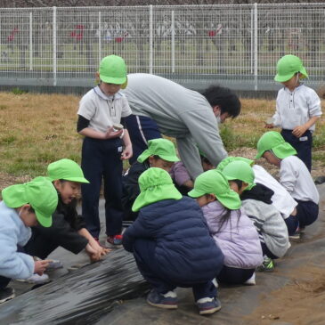 🥔じゃがいも植え🥔