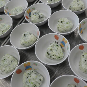 おしのべ農園野菜おにぎり🍙